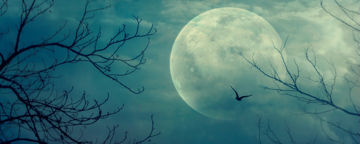 Halloween Events Around Orange County