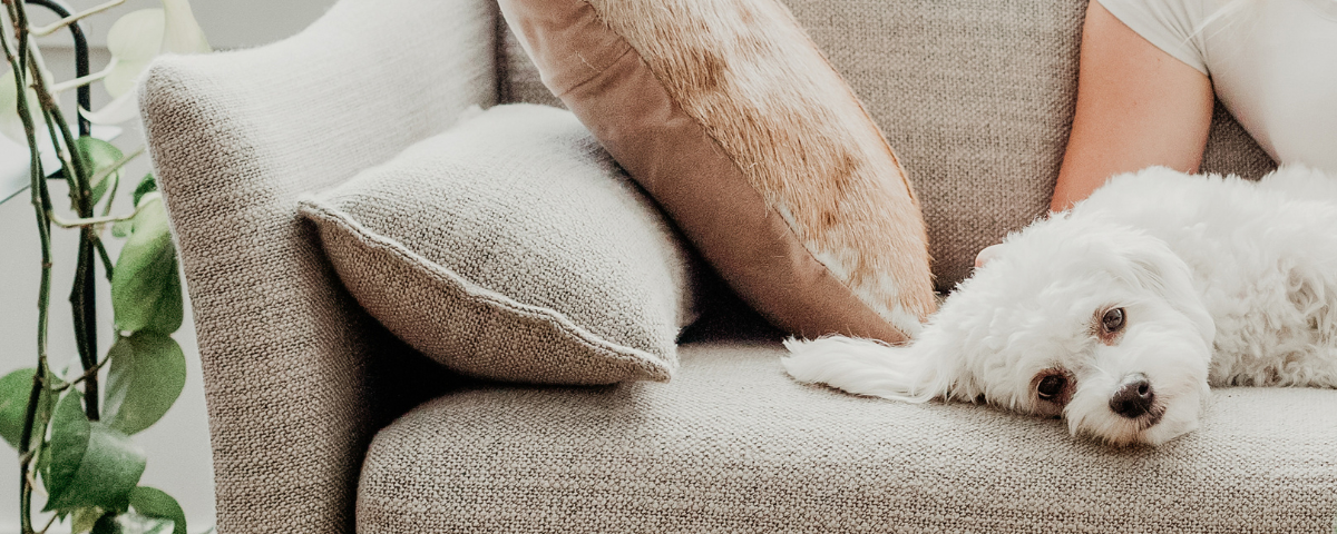 Owning a Home Top Non-Financial Benefits