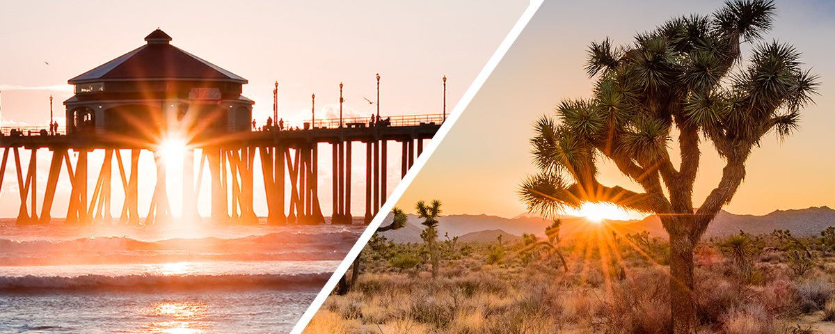 Endless Fun in the Sun: Top August Events in OC + Coachella Valley