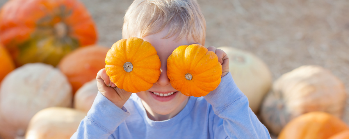Pumpkin Paradise - The Best OC Pumpkin Patches for Fun-Filled Adventures