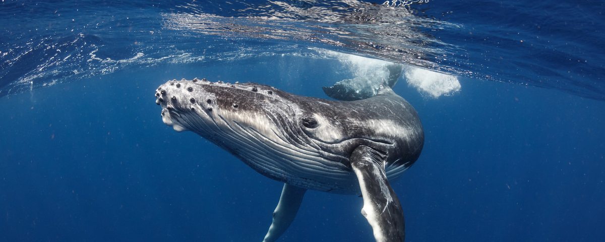 Spring Into Fun: Orange County + Coachella Valley's Best March Events