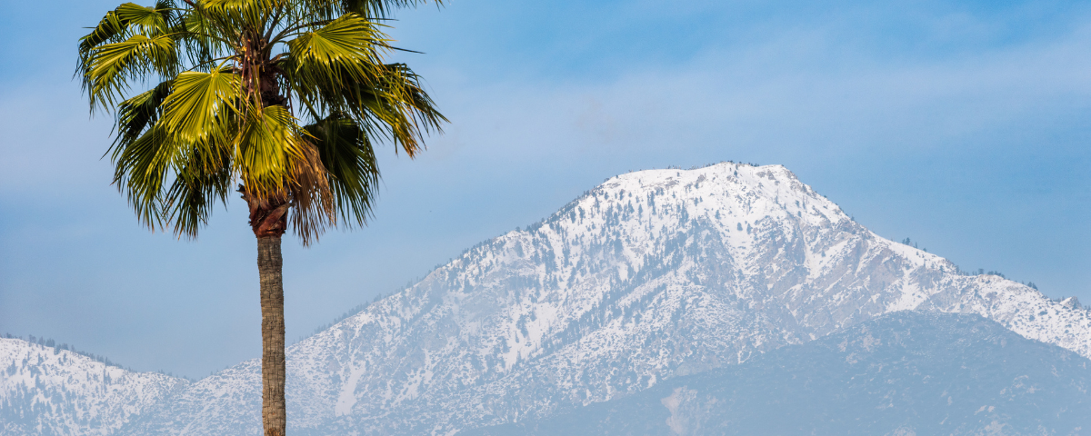 January Jaunts: Your Guide to Orange County + Coachella Valley Adventures