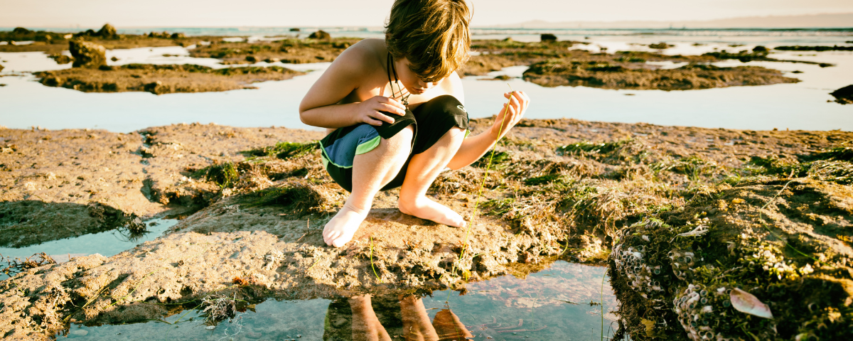 8 Must-Do Family Adventures in Orange County