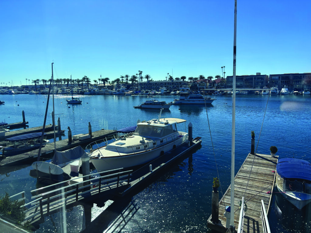 Wide-angle aerial view of Newport Harbor under a clear blue sky, featuring numerous yachts, sailboats at anchor, private docks, and a palm tree-lined shoreline in Newport Beach.