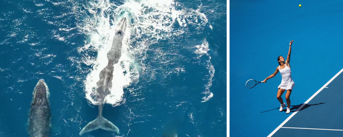 Coastal Cool Meets Desert Heat: Your March Event Guide