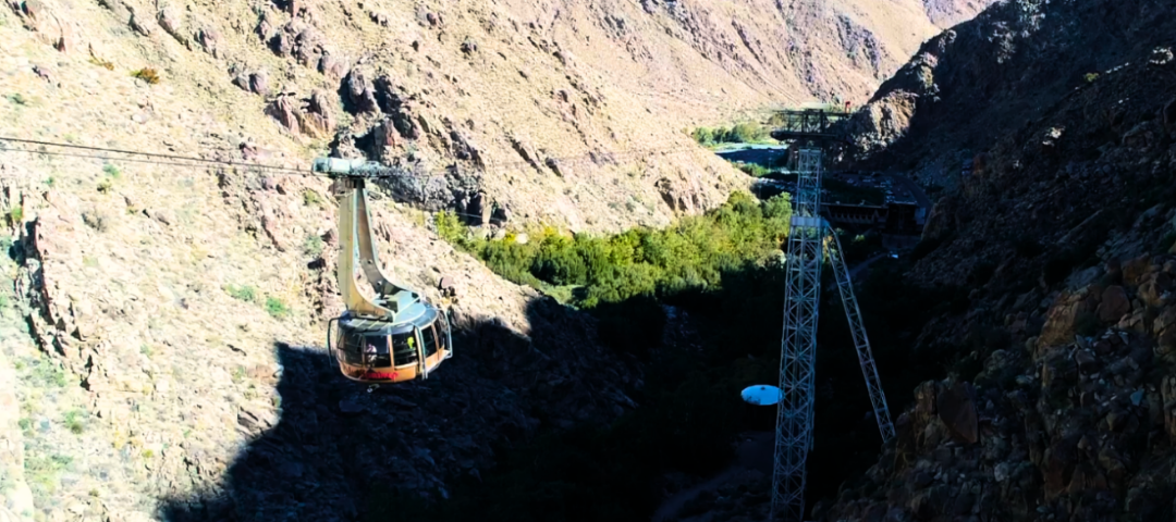 12 Must-Do Coachella Valley Experiences