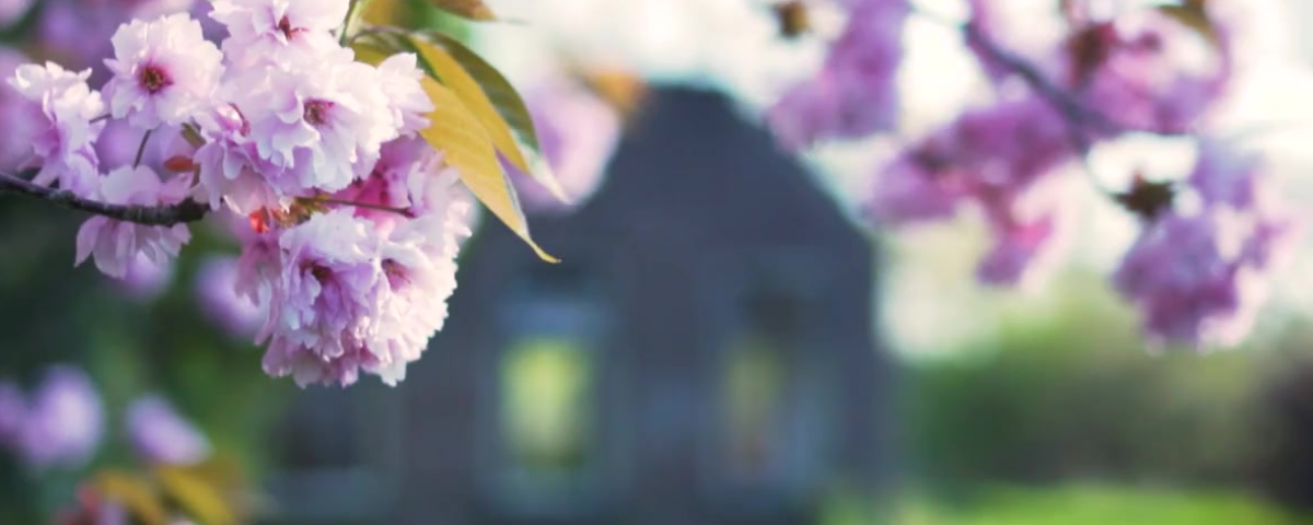 The Spring Surge: OC’s Luxury Real Estate Power Play