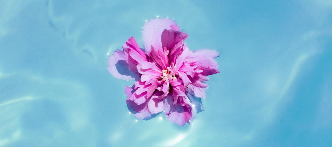 May Vibes: OC Coastlines + Desert Nights