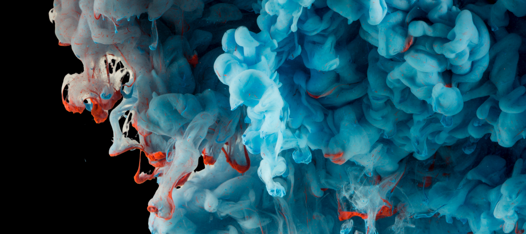 Art & Living: 5 Must-See Exhibits in OC