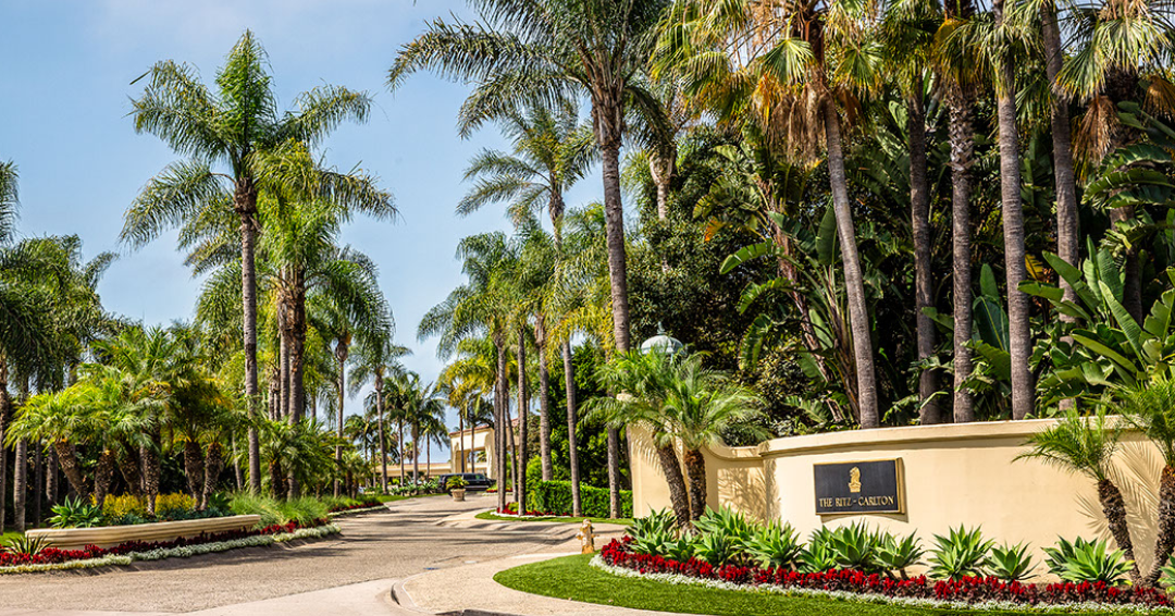 The Ritz-Carlton Laguna Niguel entrance surrounded by palm trees and tropical landscaping in Dana Point, California.
