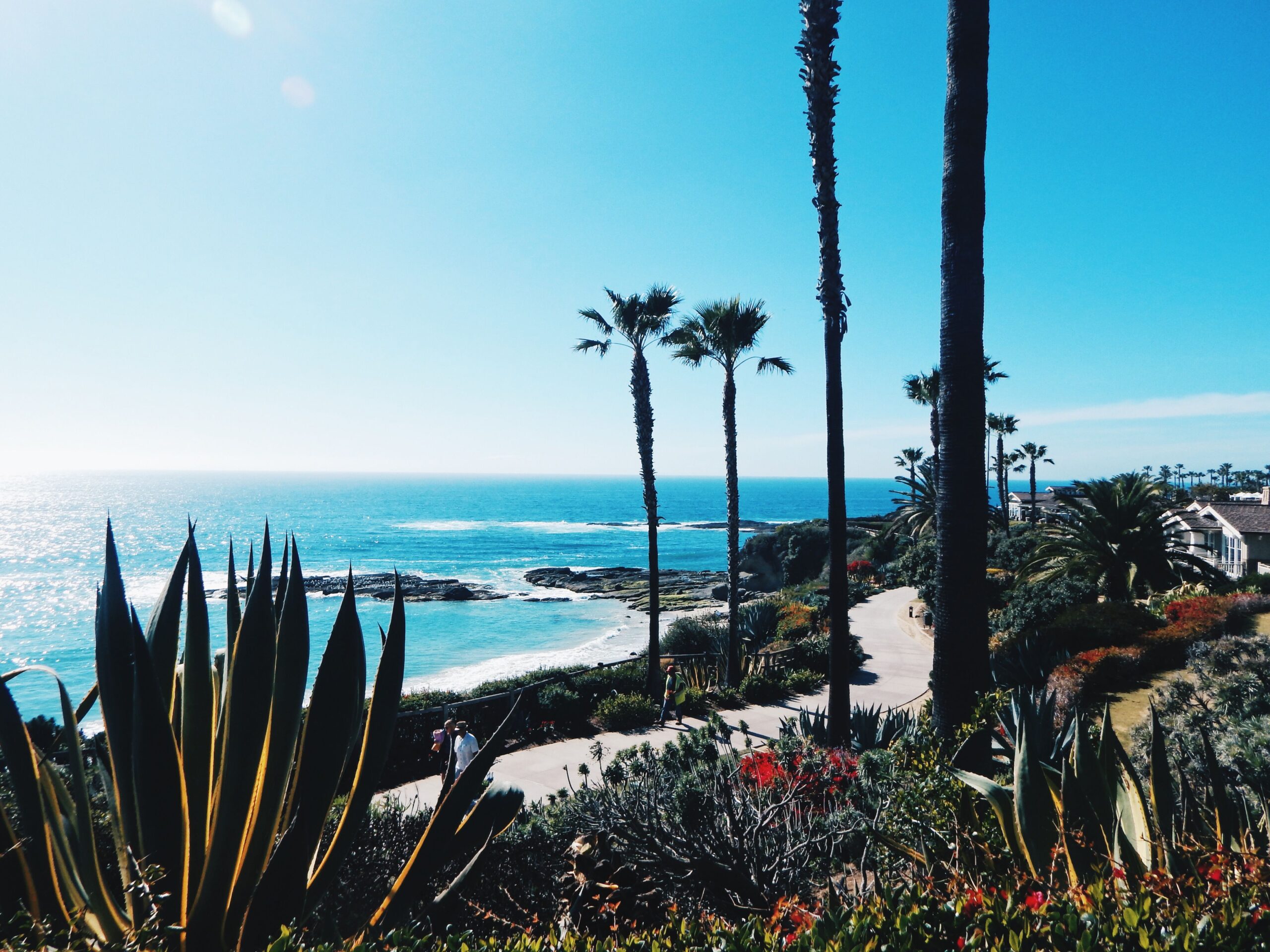 Scenic Orange County coastline with palm trees, coastal gardens, a winding walking path, and a turquoise ocean cove.