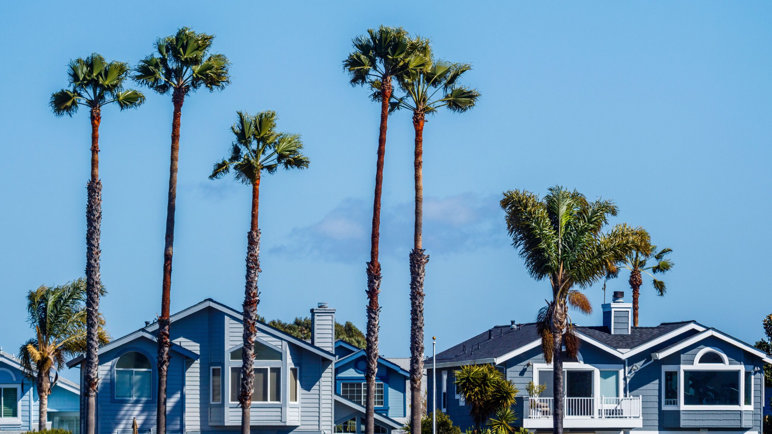 Blue-gray coastal homes framed by tall palm trees beneath a clear blue sky.